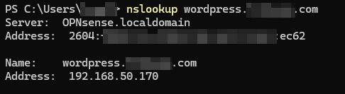 nslookup for wordpress site on local dns